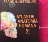 Atlas de anatomia humana de Netter