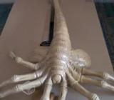 Figura Face Hugger tamaño real - Alien