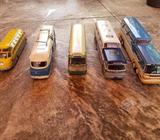 Colección buses