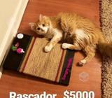 Rascador para gatos