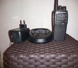 Radio portatil Motorola modelo DEP 450