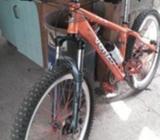 Bicicleta rigida Enduro-Downhill