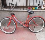 Bicicleta de paseo