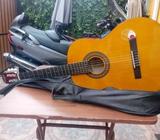 Guitarra Clásica Vizcaya+funda+cejillo Y Uñetas