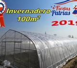 Invernadero 100m2