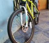 Bicicleta Upland